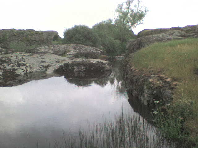 Entorno de El Tranco